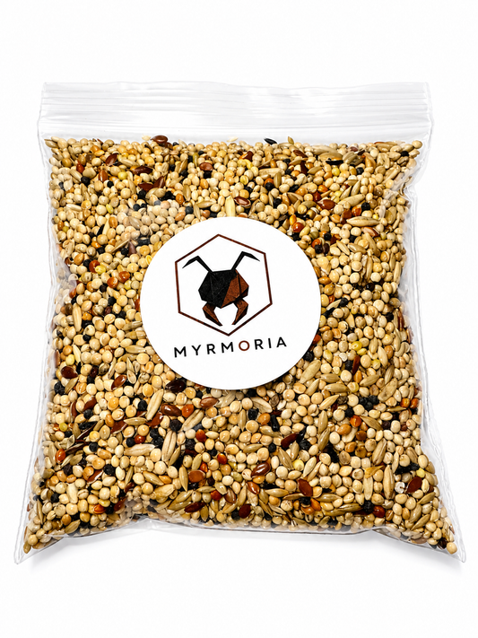 Mélange de graines pour Messor – 100 g
