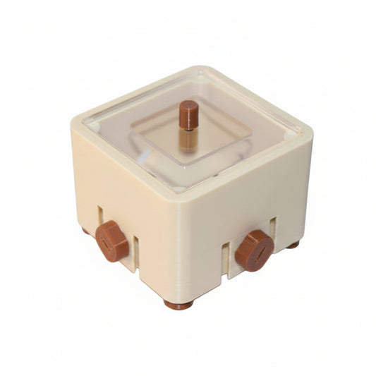 Aire de chasse Terra Myrmoria – espace de nourrissage compact pour jeune colonie
